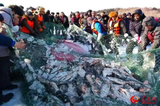 篷房租賃,篷房出租,倉(cāng)儲(chǔ)篷房,婚慶篷房,篷房廠家,篷房